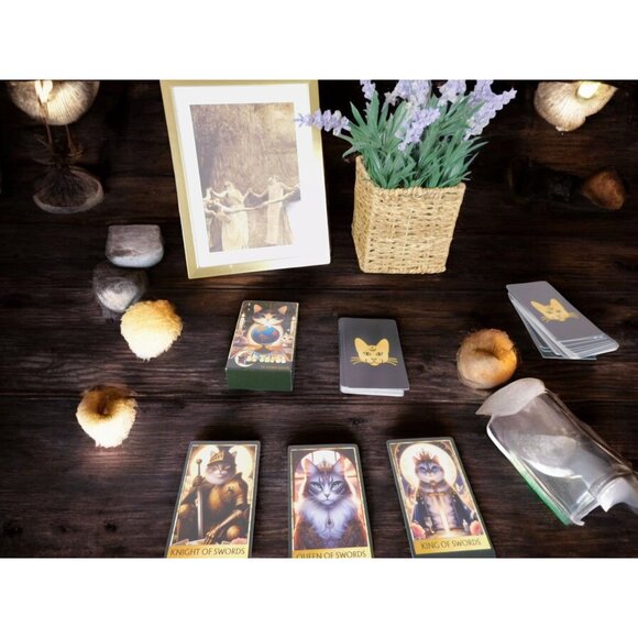 Cat Tarot Card Deck 78 Cards, 4.13" x 2.48" Mystical Cat Artwork NIB - Picture 8 of 11